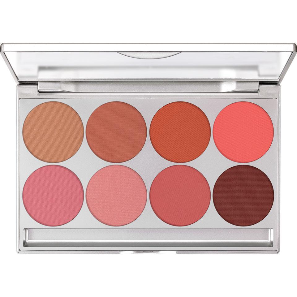 PROF. BLUSHER SET -8-MATT PROF. BLUSHER SET -8-MATT